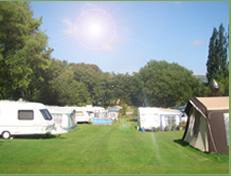 Eden Tree House Caravan Park