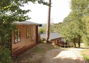 Sandy Balls Lodges
