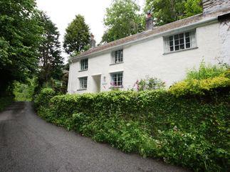 Click here for more about Cuckoo Tor