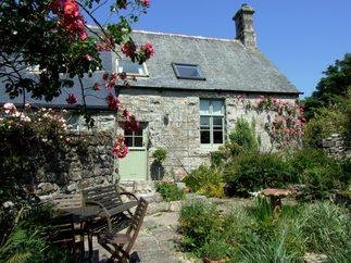 Click here for more about Holly Grove