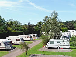 Holmans Wood Holiday Park