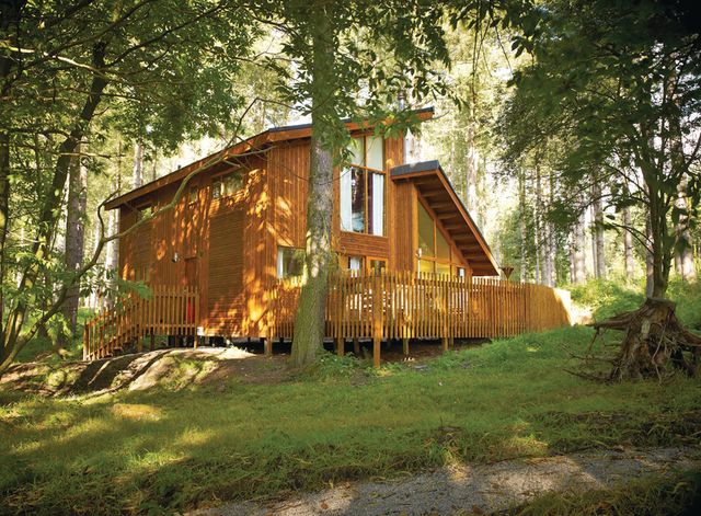Blackwood Forest Lodges