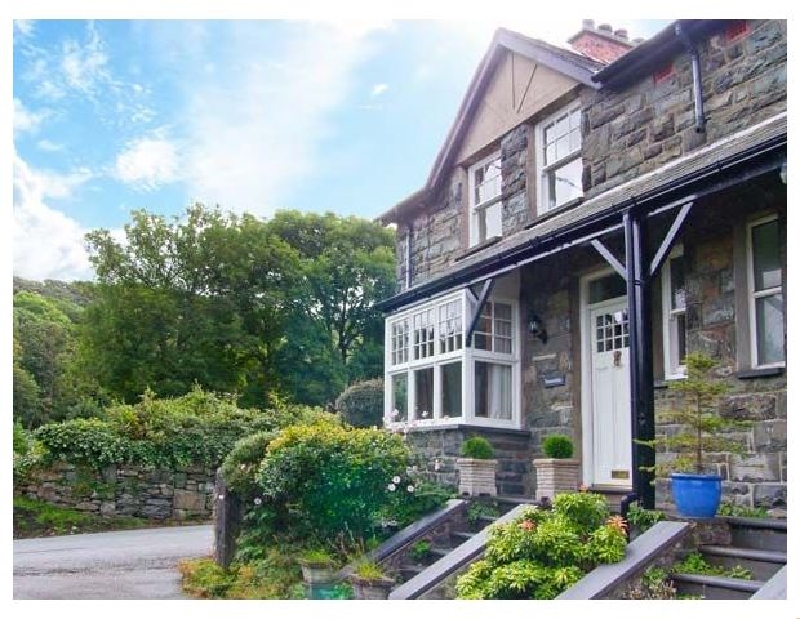 Click here for more about Tremorthin