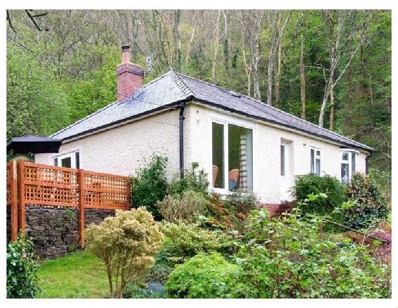 Click here for more about Bron Aber