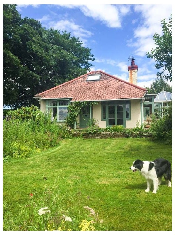 Click here for more about Hill Brow
