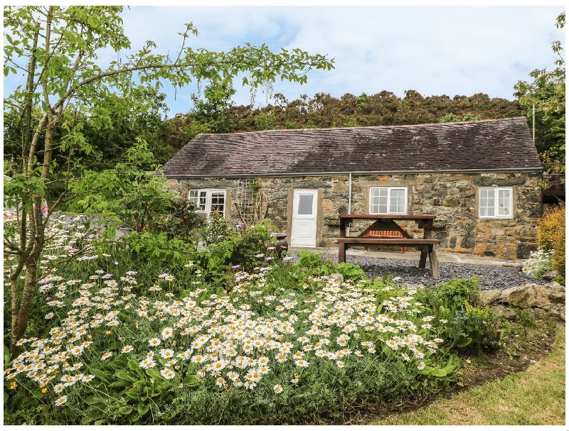 Click here for more about Ty'n Y Muriau Cottage