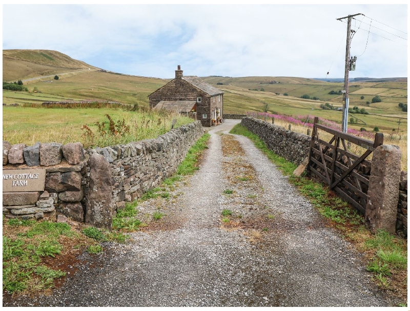 Click here for more about New Cottage Farm