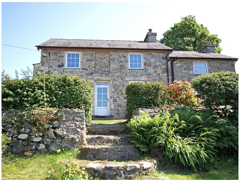 Click here for more about Fron Fawr