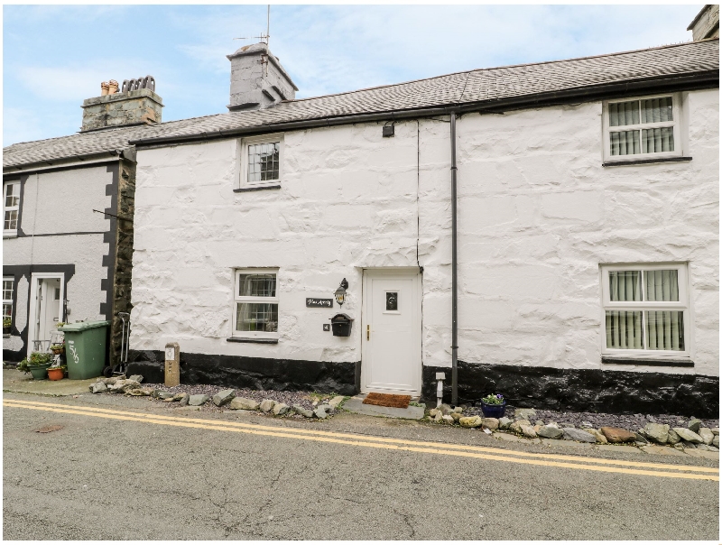 Click here for more about Plas Arenig